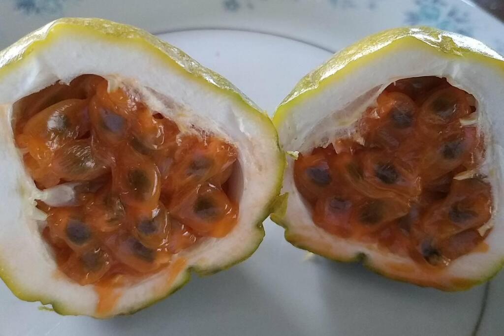 Case Creole Independante Proche Mer 拉高莱特 外观 照片